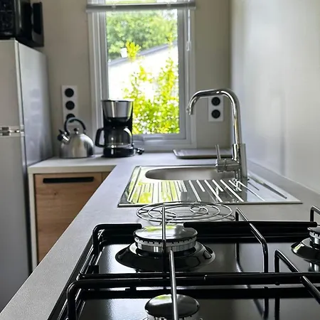 Кемпинг Mobil-home, Animaux Admis - 6 Pers. - Api-1-52-2816 Saint-Martin-Lars-en-Sainte-Hermine